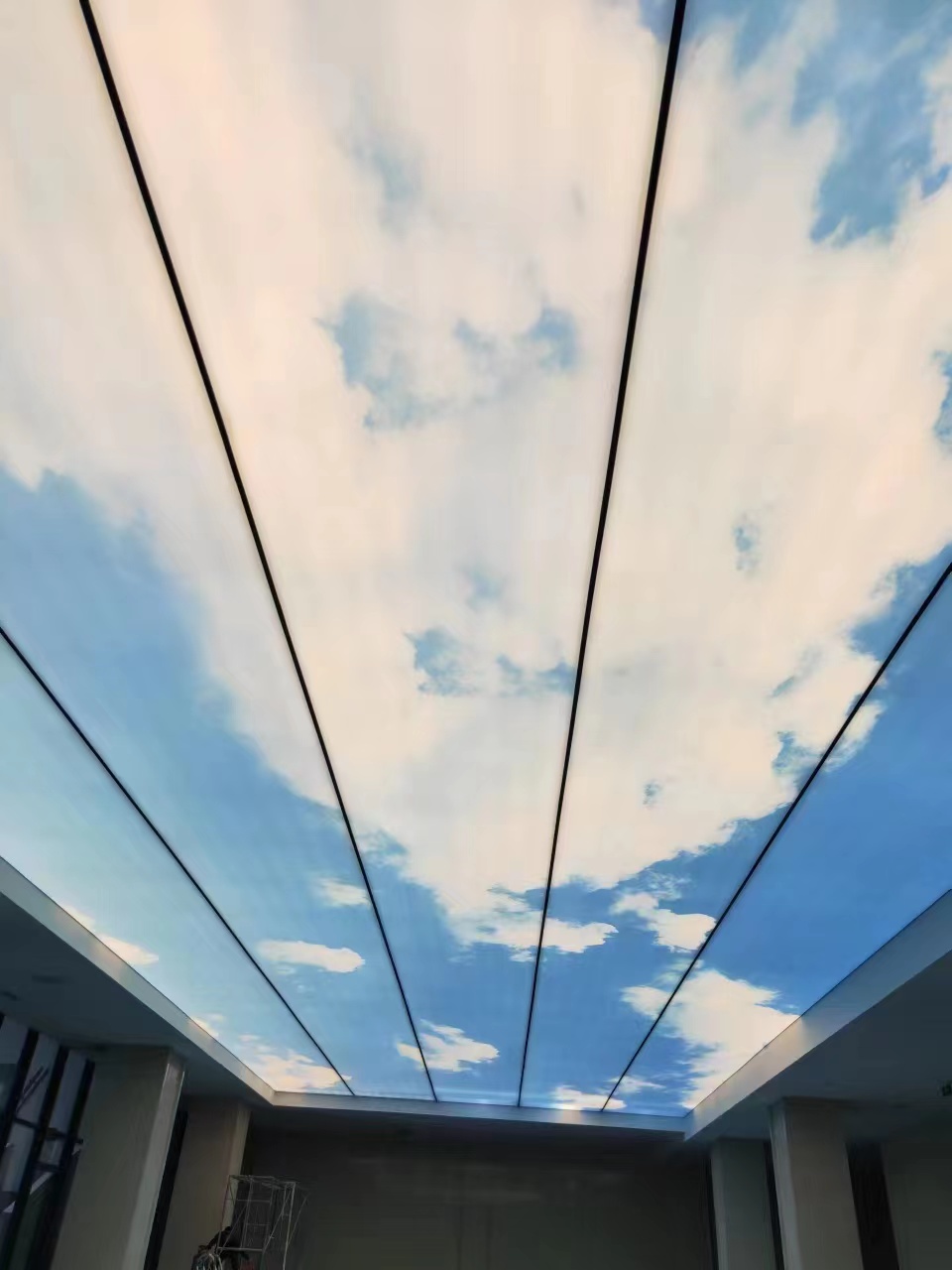 1 (11).jpg